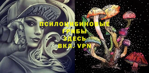 шишки Вязники